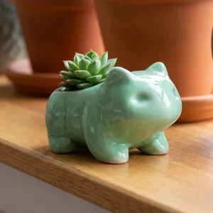 ceramic succulent pots, ceramic succulent planter pot