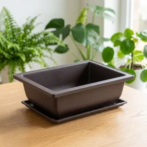 plant pot