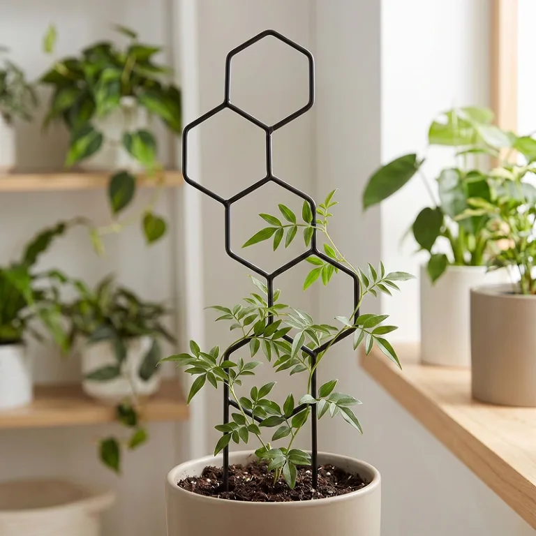 trellis for indoor plants, plant support rack, trellis for climbing plants